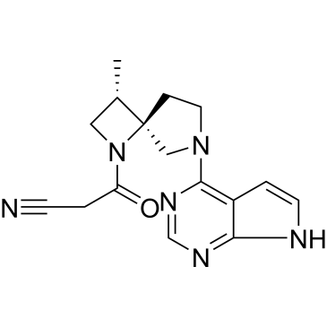 CS-0031558