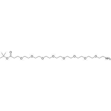 CS-0031590