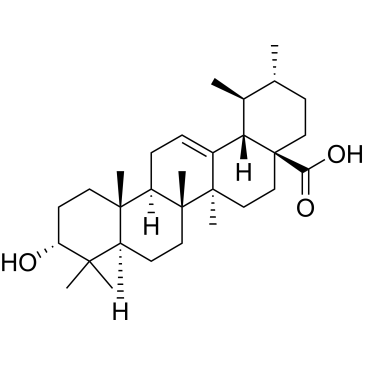 CS-0032646