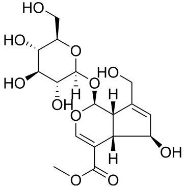 CS-0032784