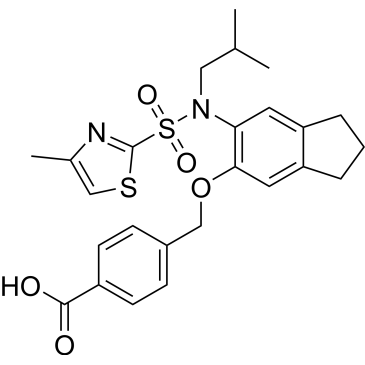 CS-0033062