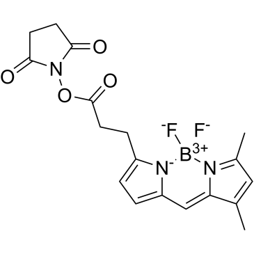 BODIPY-FL NHS ester|CS-0033074