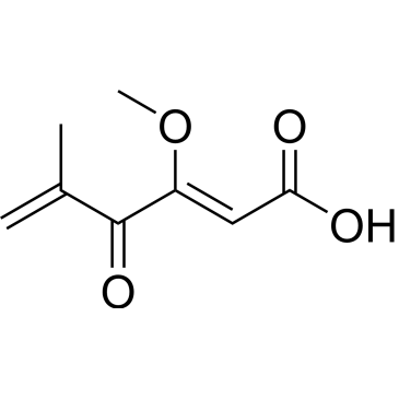 CS-0034504
