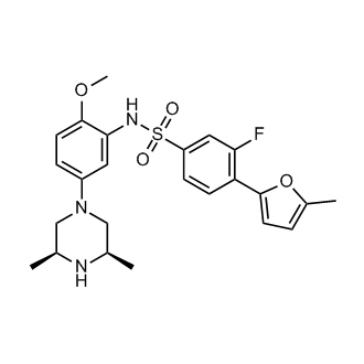 CS-0034712