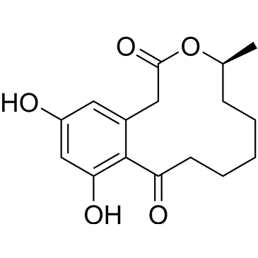CS-0034951