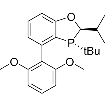 (R,R)-iPr-BI-DIME|CS-0034985