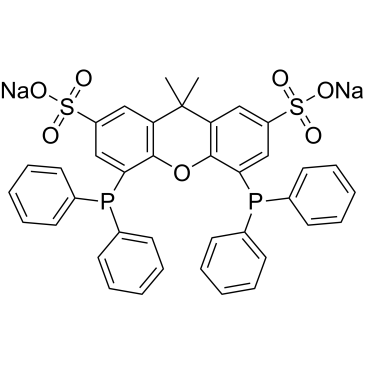 Sodium 4,5-bis(diphenylphosphanyl)-9,9-dimethyl-9H-xanthene-2,7-disulfonate|CS-0035158
