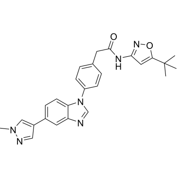 Pz-1|CS-0035381