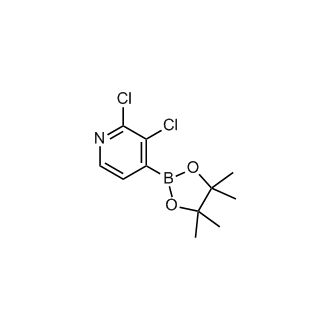 2,3-Dichloro-4-(4,4,5,5-tetramethyl-1,3,2-dioxaborolan-2-yl)pyridine|CS-0035547