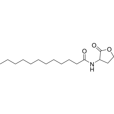 N-Dodecanoyl-DL-homoserine lactone|CS-0037576