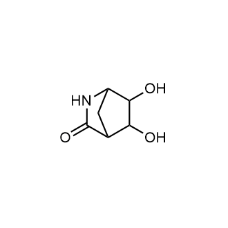 5,6-Dihydroxy-2-azabicyclo[2.2.1]heptan-3-one|CS-0037891