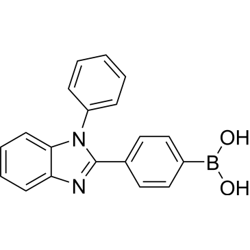 B-[4-(1-Phenyl-1H-benzimidazol-2-yl)phenyl]boronic acid|CS-0040189