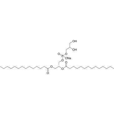 DMPG (sodium)|CS-0040424