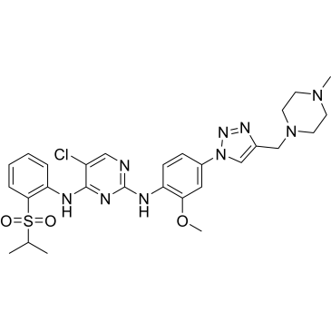 CS-0040562