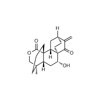 15-Oxospiramilactone|CS-0041058