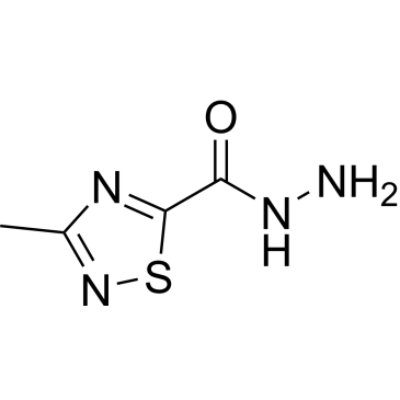 3-Methyl-1,2,4-thiadiazole-5-carbohydrazide|CS-0042198
