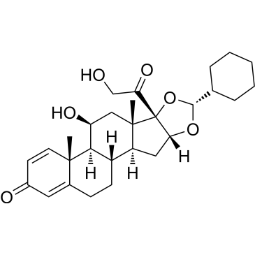 CS-0042213