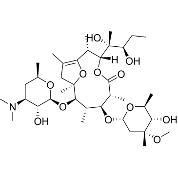 Pseudoerythromycin A enol ether|CS-0043200