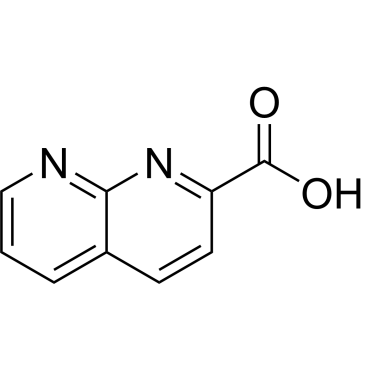 1,8-Naphthyridine-2-carboxylic acid|CS-0043745