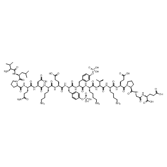 Tyrosine Protein Kinase JAK 2 Phospho-Tyr8, 9|CS-0045216