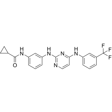 CS-0045304