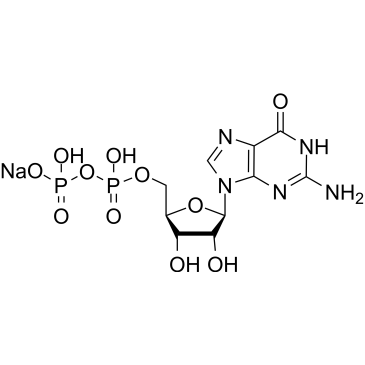 Guanosine 5'-diphosphate (sodium), 96% HPLC|CS-0046283