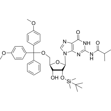 5'-O-DMT-2'-O-iBu-N-Bz-Guanosine|CS-0046505