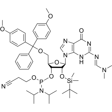 DMT-2'-O-TBDMS-G(dmf)-CE-phosphoramidite|CS-0046580