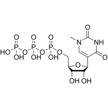 N1-Methylpseudouridine-5′-triphosphate solution 100 mM|CS-0047599