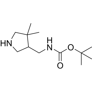 tert-Butyl N-[(4,4-dimethylpyrrolidin-3-yl)methyl]carbamate|CS-0047985