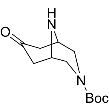 tert-Butyl 7-oxo-3,9-diazabicyclo[3.3.1]nonane-3-carboxylate|CS-0048131