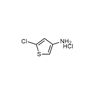 5-Chlorothiophen-3-amine hydrochloride|CS-0050505