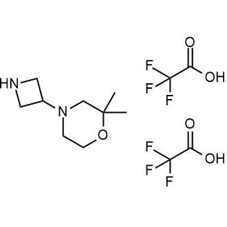 4-(Azetidin-3-yl)-2,2-dimethylmorpholine bis(2,2,2-trifluoroacetate)|CS-0051182