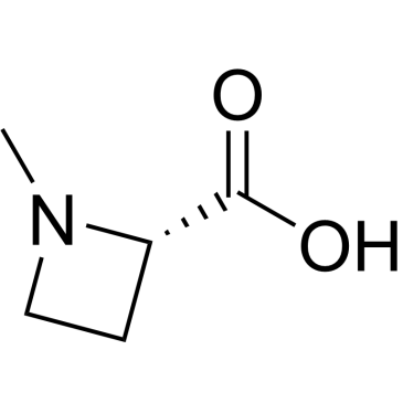 (S)-1-methylazetidine-2-carboxylic acid|CS-0052023