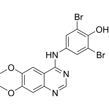 CS-0054