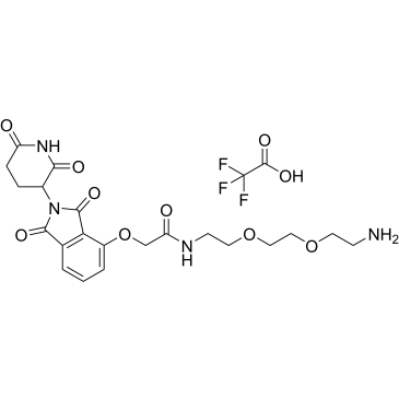Thalidomide-O-amido-PEG2-C2-NH2 TFA|CS-0058447