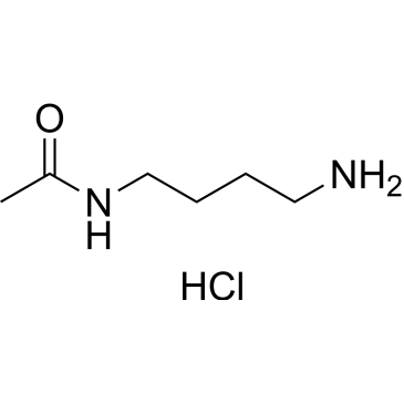 N-Acetylputrescine hydrochloride|CS-0059569