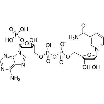 NADP|CS-0059610