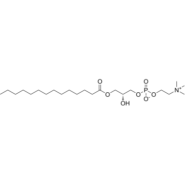 LysoPC(14:0/0:0)|CS-0059637