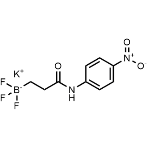 Potassium trifluoro(3-((4-nitrophenyl)amino)-3-oxopropyl)borate|CS-0060214