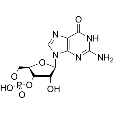 Cyclic GMP|CS-0062316