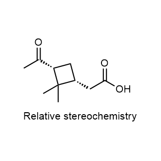 rel-2-((1R,3R)-3-acetyl-2,2-dimethylcyclobutyl)acetic acid|CS-0062482