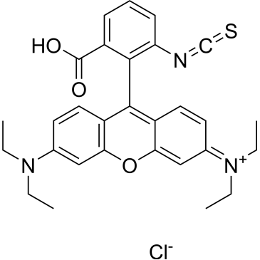 Rhodamine B isothiocyanate|CS-0062807