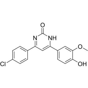 CS-0062837