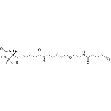 Biotin-PEG2-C4-alkyne|CS-0062929
