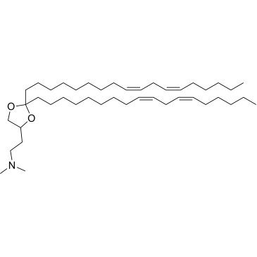 DLin-KC2-DMA|CS-0063335