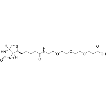 Biotin-PEG3-acid|CS-0063554