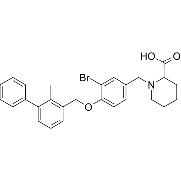 BMS-8|CS-0064596