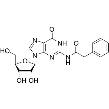 N-(9-((2R,3R,4S,5R)-3,4-Dihydroxy-5-(hydroxymethyl)tetrahydrofuran-2-yl)-6-oxo-6,9-dihydro-1H-purin-2-yl)-2-phenylacetamide|CS-0064646