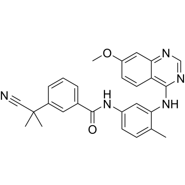 CS-0064828